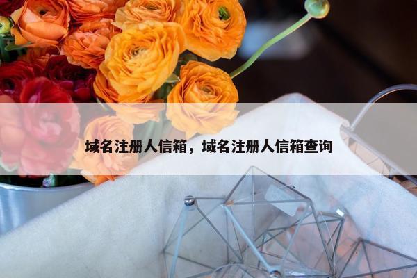 域名注册人信箱，域名注册人信箱查询