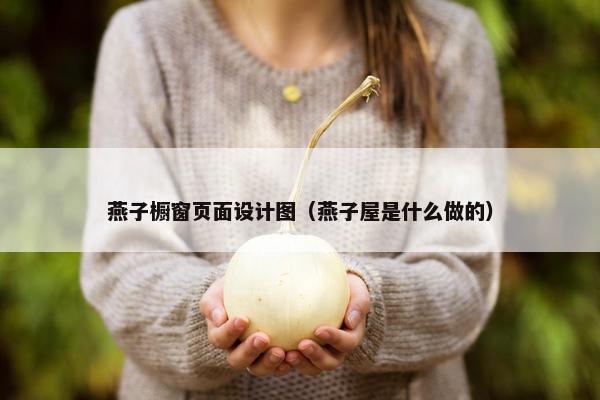 燕子橱窗页面设计图（燕子屋是什么做的）