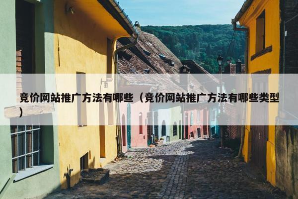 竞价网站推广方法有哪些（竞价网站推广方法有哪些类型）