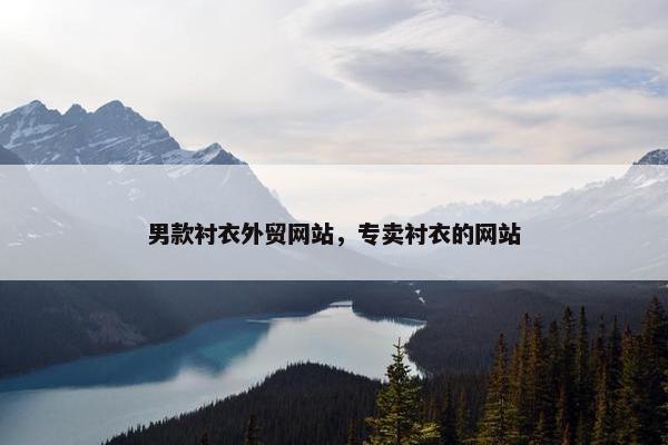 男款衬衣外贸网站，专卖衬衣的网站