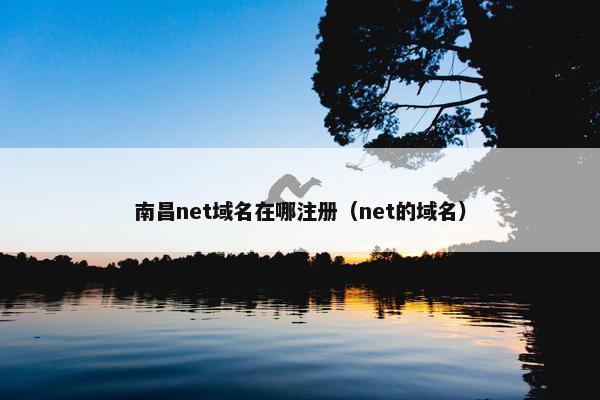 南昌net域名在哪注册（net的域名）