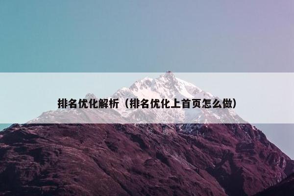 排名优化解析（排名优化上首页怎么做）