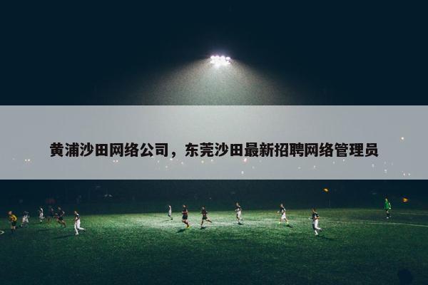 黄浦沙田网络公司，东莞沙田最新招聘网络管理员