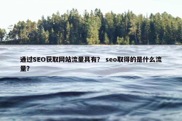 通过SEO获取网站流量具有？ seo取得的是什么流量？