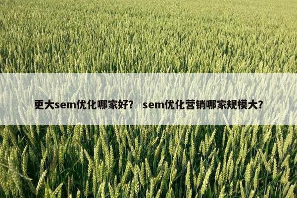 更大sem优化哪家好？ sem优化营销哪家规模大？