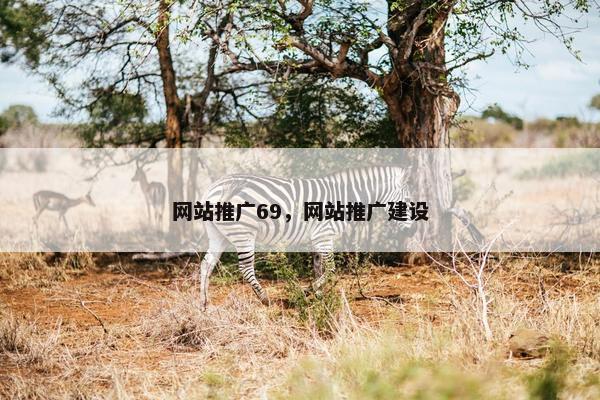 网站推广69，网站推广建设
