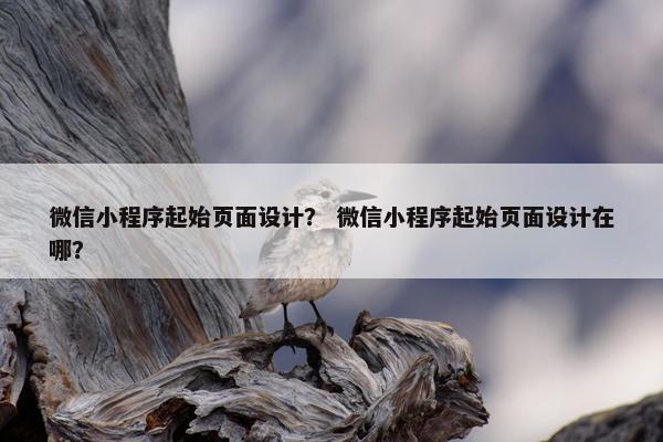 微信小程序起始页面设计？ 微信小程序起始页面设计在哪？