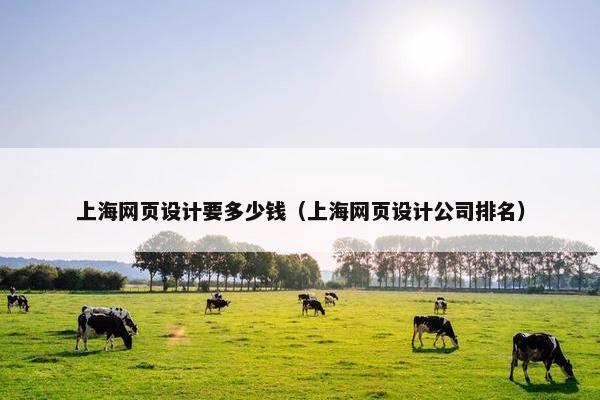 上海网页设计要多少钱（上海网页设计公司排名）