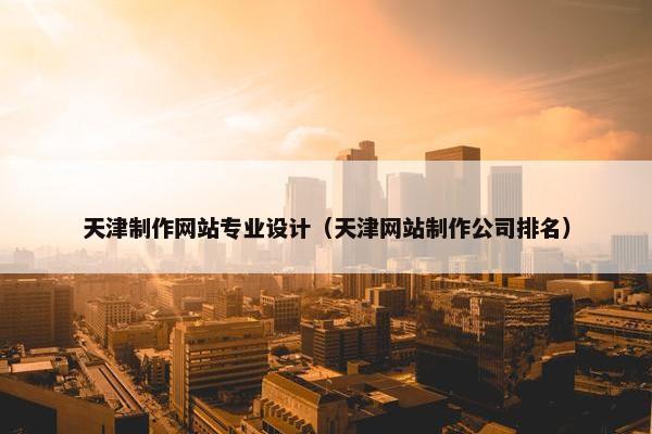 天津制作网站专业设计（天津网站制作公司排名）