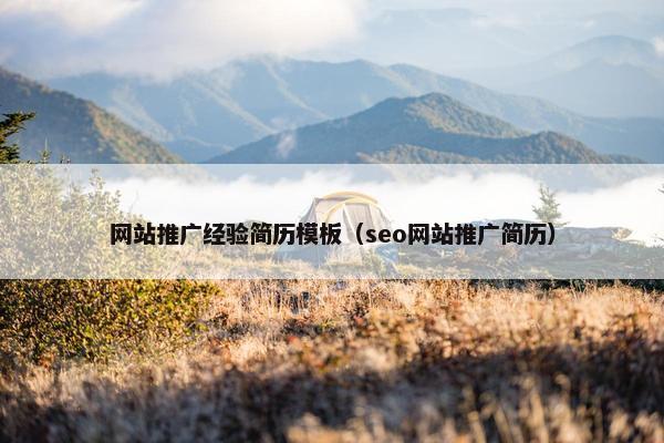 网站推广经验简历模板（seo网站推广简历）