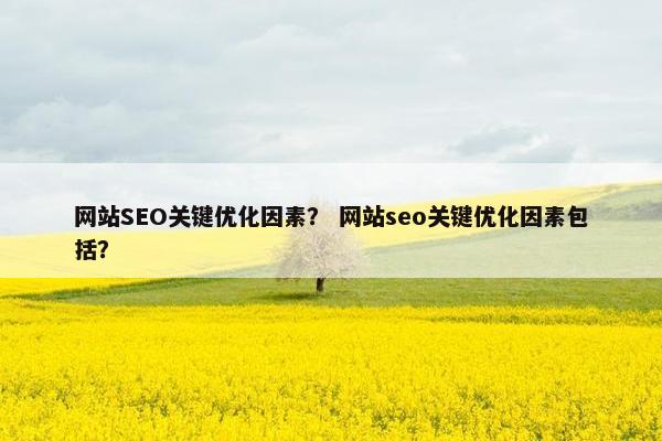 网站SEO关键优化因素？ 网站seo关键优化因素包括？