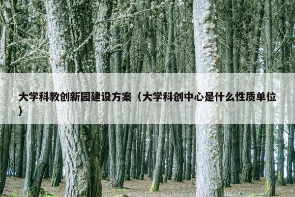 大学科教创新园建设方案（大学科创中心是什么性质单位）