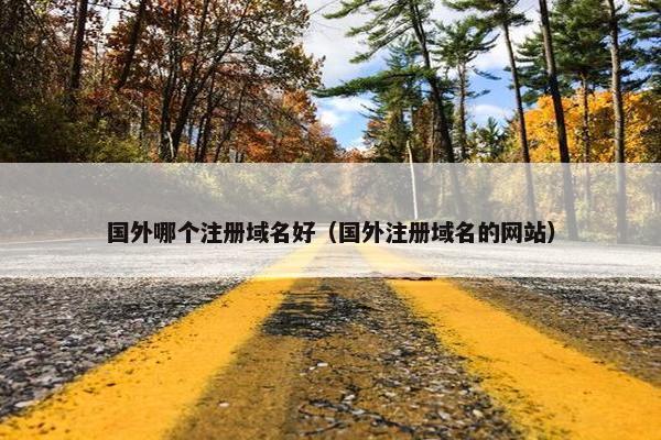 国外哪个注册域名好（国外注册域名的网站）