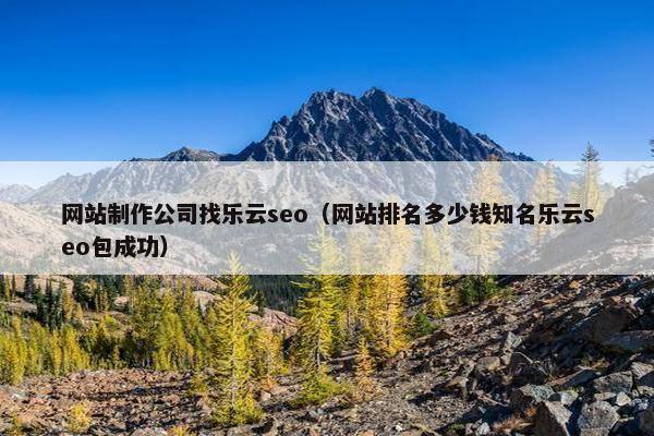 网站制作公司找乐云seo（网站排名多少钱知名乐云seo包成功）
