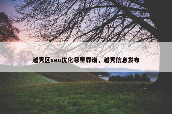 越秀区seo优化哪里靠谱，越秀信息发布