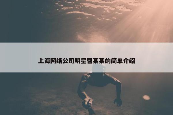 上海网络公司明星曹某某的简单介绍