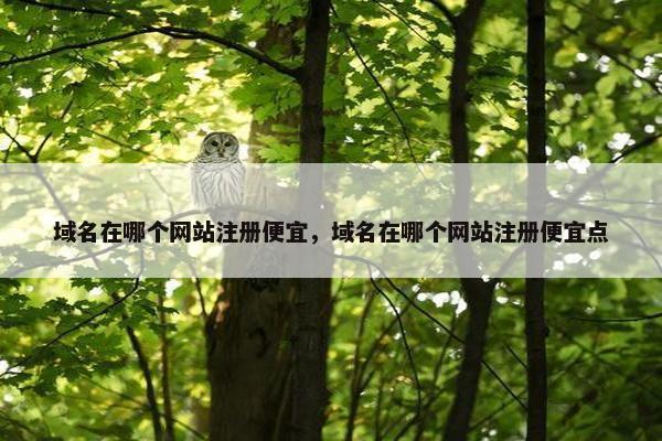 域名在哪个网站注册便宜，域名在哪个网站注册便宜点