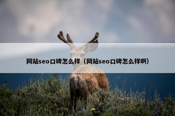 网站seo口碑怎么样（网站seo口碑怎么样啊）