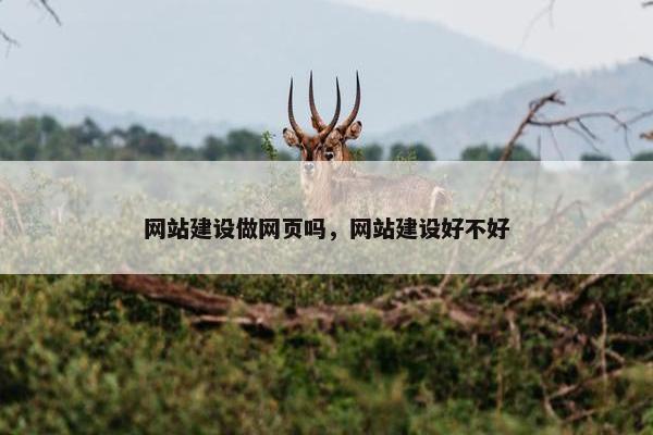 网站建设做网页吗，网站建设好不好