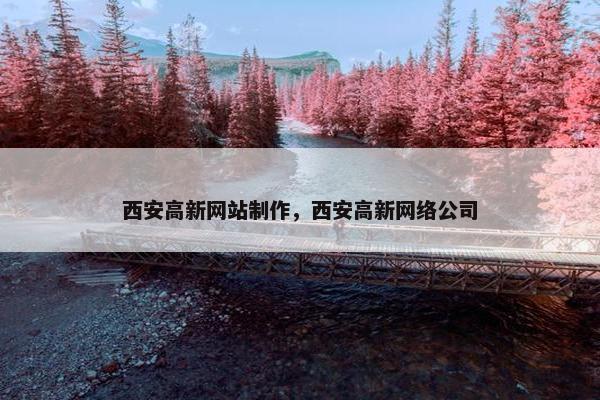 西安高新网站制作，西安高新网络公司