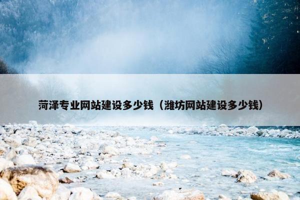 菏泽专业网站建设多少钱（潍坊网站建设多少钱）