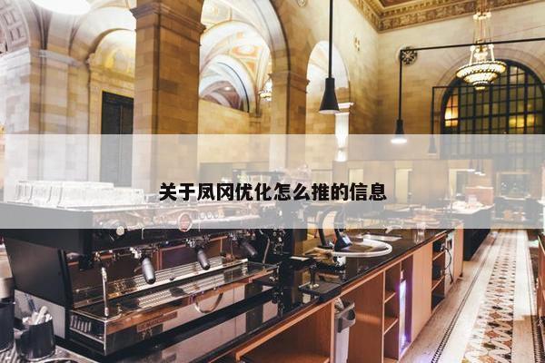 关于凤冈优化怎么推的信息