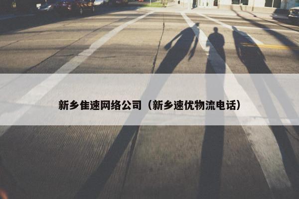 新乡隹速网络公司（新乡速优物流电话）