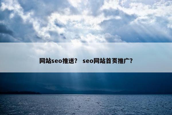网站seo推送？ seo网站首页推广？