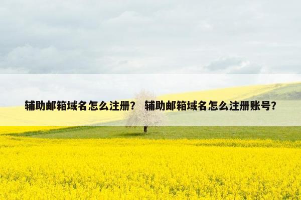 辅助邮箱域名怎么注册？ 辅助邮箱域名怎么注册账号？