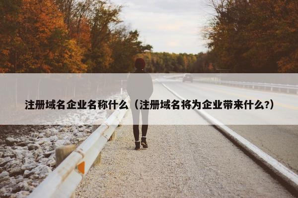 注册域名企业名称什么（注册域名将为企业带来什么?）