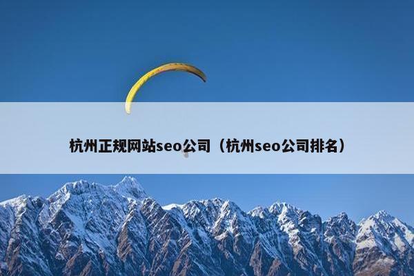 杭州正规网站seo公司（杭州seo公司排名）