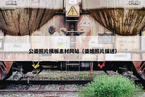 公婆照片模板素材网站（婆媳照片描述）