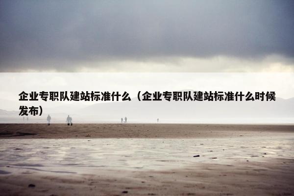 企业专职队建站标准什么（企业专职队建站标准什么时候发布）