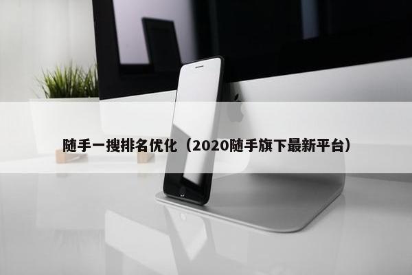 随手一搜排名优化（2020随手旗下最新平台）