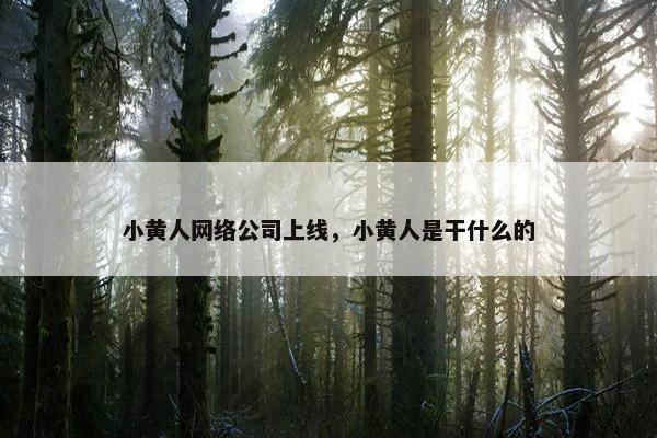 小黄人网络公司上线，小黄人是干什么的