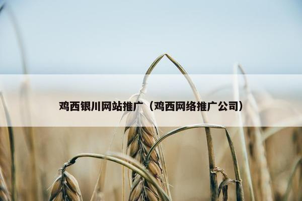 鸡西银川网站推广（鸡西网络推广公司）