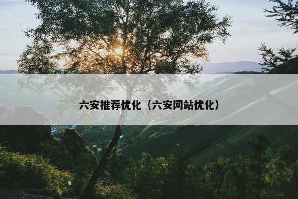 六安推荐优化（六安网站优化）