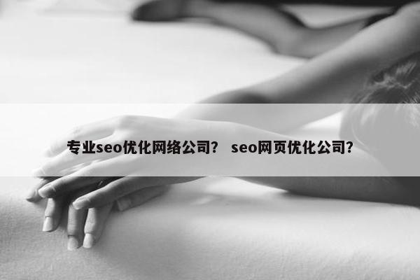 专业seo优化网络公司？ seo网页优化公司？