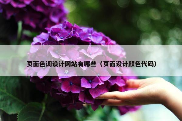 页面色调设计网站有哪些（页面设计颜色代码）
