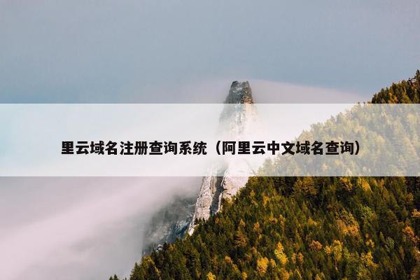 里云域名注册查询系统（阿里云中文域名查询）