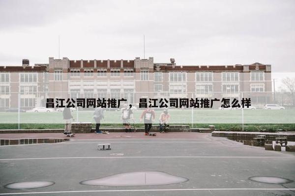 昌江公司网站推广，昌江公司网站推广怎么样