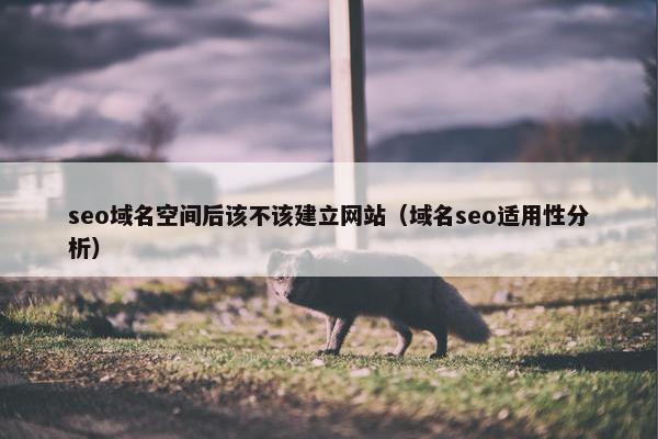 seo域名空间后该不该建立网站（域名seo适用性分析）