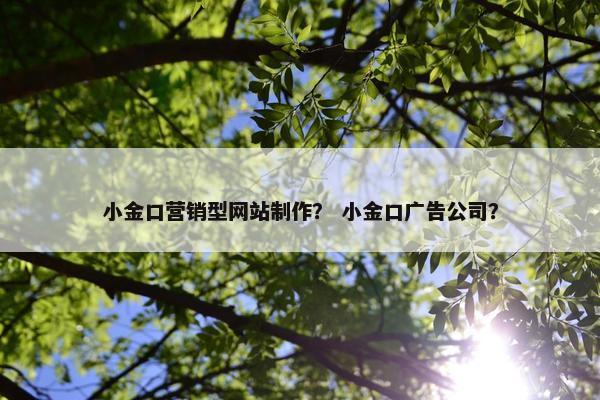 小金口营销型网站制作？ 小金口广告公司？