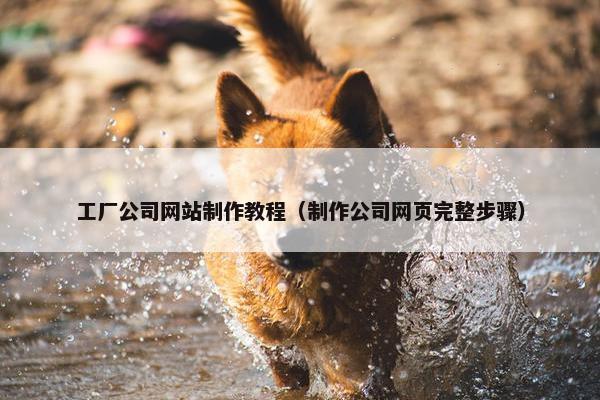 工厂公司网站制作教程（制作公司网页完整步骤）