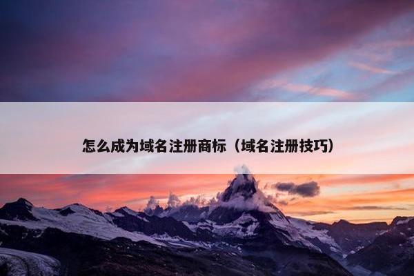 怎么成为域名注册商标（域名注册技巧）