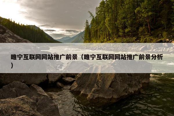睢宁互联网网站推广前景（睢宁互联网网站推广前景分析）