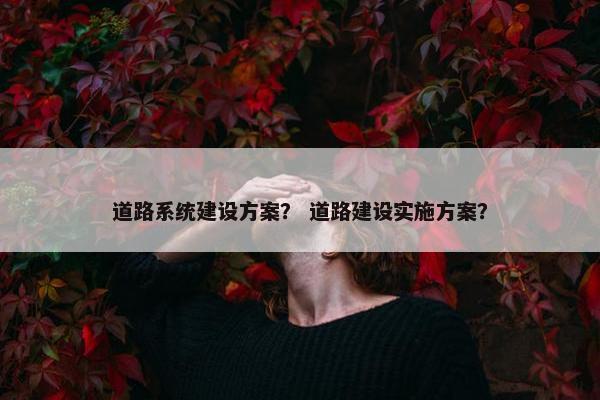 道路系统建设方案？ 道路建设实施方案？