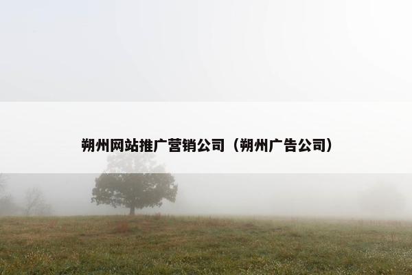 朔州网站推广营销公司（朔州广告公司）