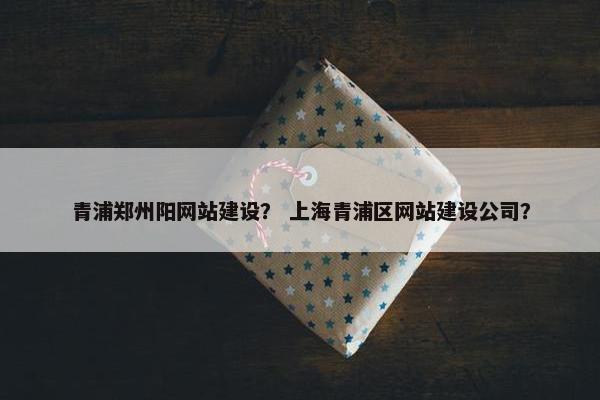 青浦郑州阳网站建设？ 上海青浦区网站建设公司？