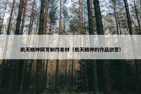 航天精神网页制作素材（航天精神的作品创意）